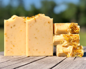 Chamomile & Calendula (Unscented)